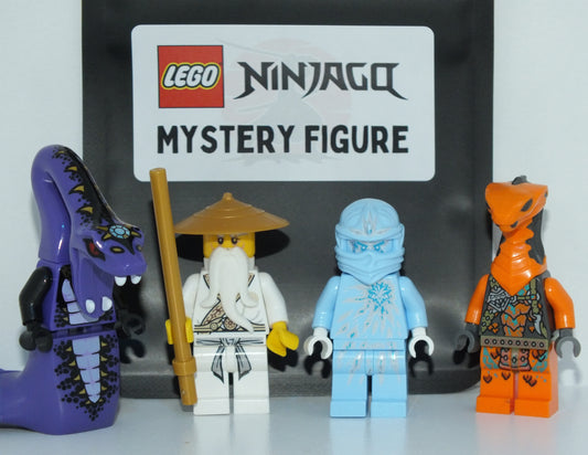 LEGO® Ninjago Mystery Minifigure - Bits and Blocks