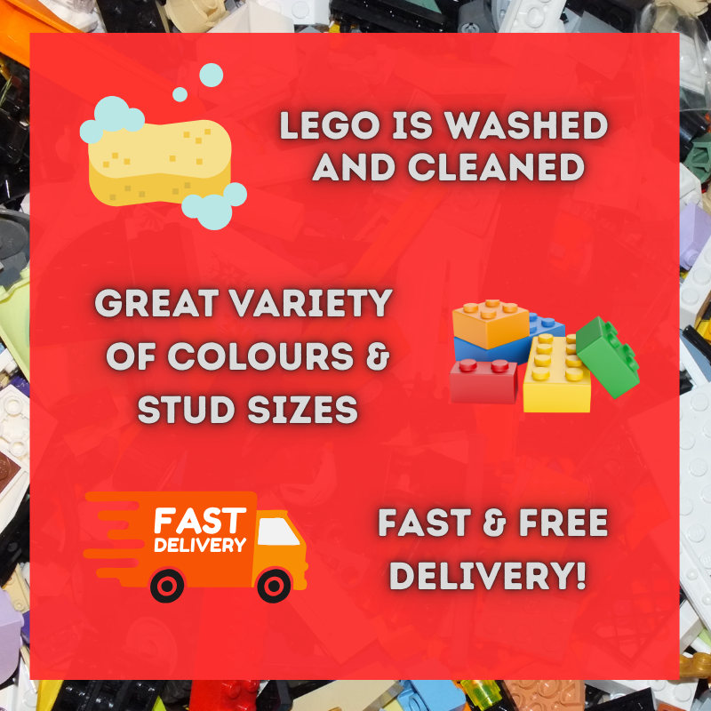 100 x Mixed LEGO® Bricks - Bits and Blocks