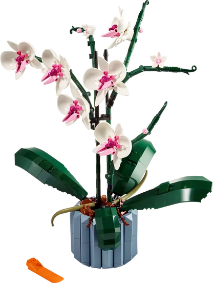 LEGO® Botanicals Orchid 10311 - Bits and Blocks