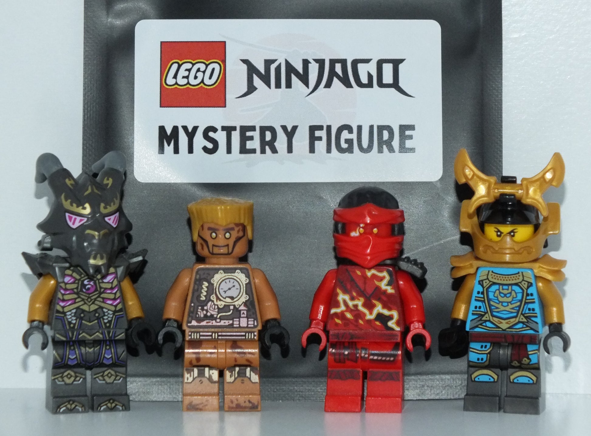 LEGO® Ninjago Mystery Minifigure - Bits and Blocks