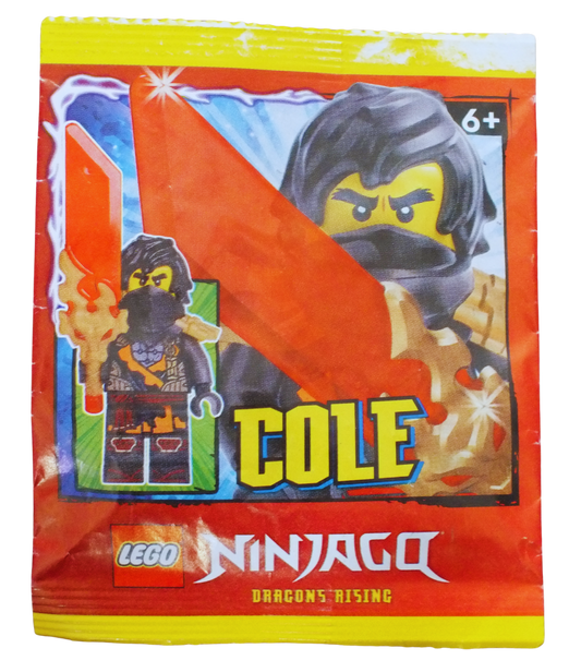 LEGO Ninjago Cole Minifigure Paper Pack by Bits and Blocks, featuring a detailed paper craft of the ninja character on the front.