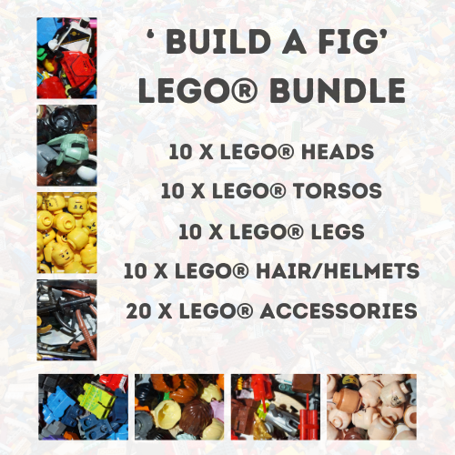 Build A Fig LEGO® Bundle